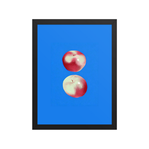 Two Apples Framed Art Print