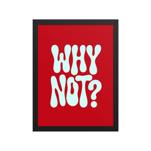 Why Not? Framed Art Print