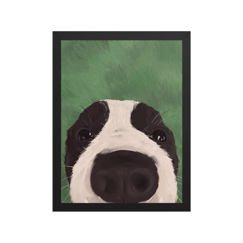 Nosy Border Collie Framed Art Print
