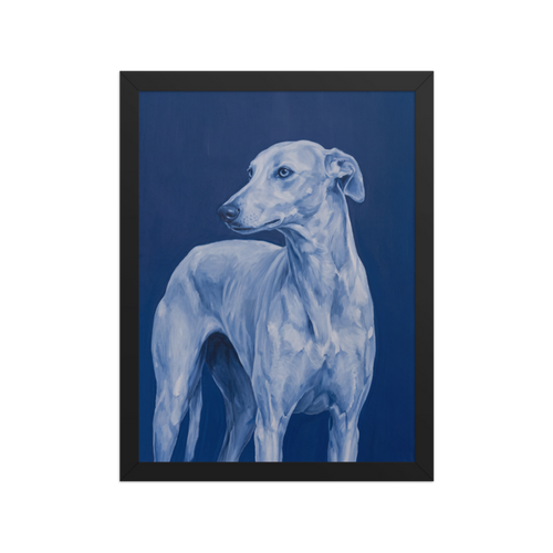 Blue Greyhound Framed Art Print