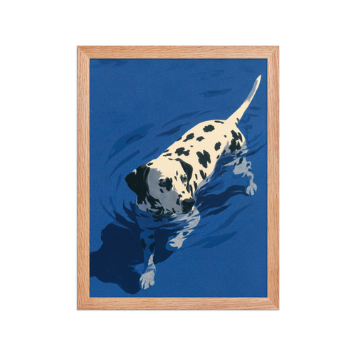 Dalmatian Swimming Framed Art Print