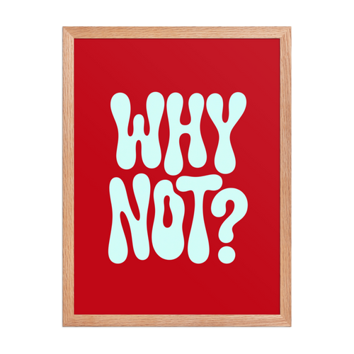 Why Not? Framed Art Print