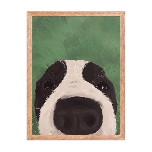 Nosy Border Collie Framed Art Print