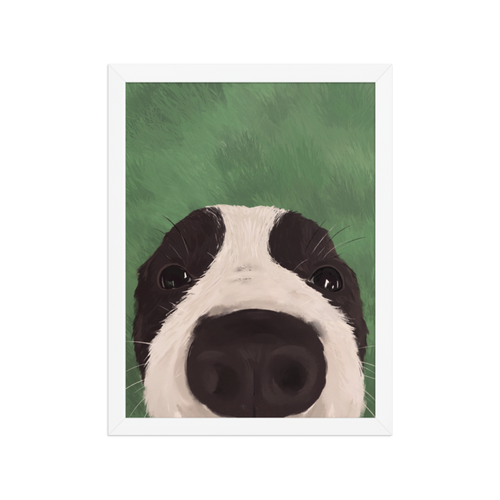 Nosy Border Collie Framed Art Print