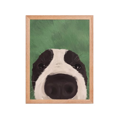 Nosy Border Collie Framed Art Print