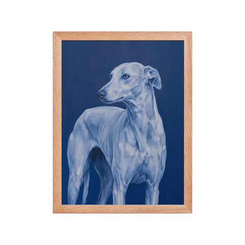 Blue Greyhound Framed Art Print