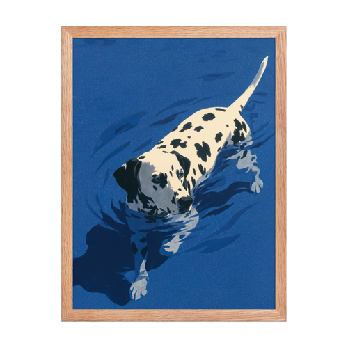 Dalmatian Swimming Framed Art Print