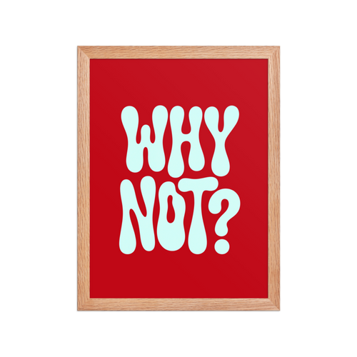 Why Not? Framed Art Print