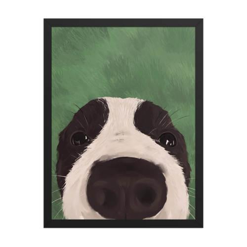 Nosy Border Collie Framed Art Print