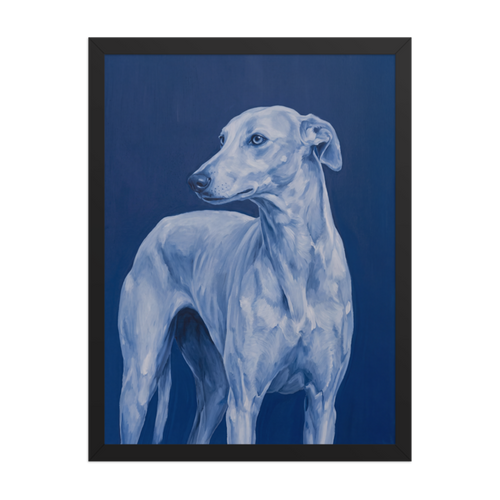 Blue Greyhound Framed Art Print