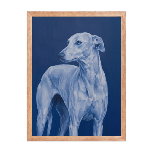 Blue Greyhound Framed Art Print